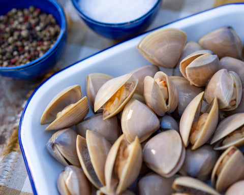 Cloudy Bay Clams