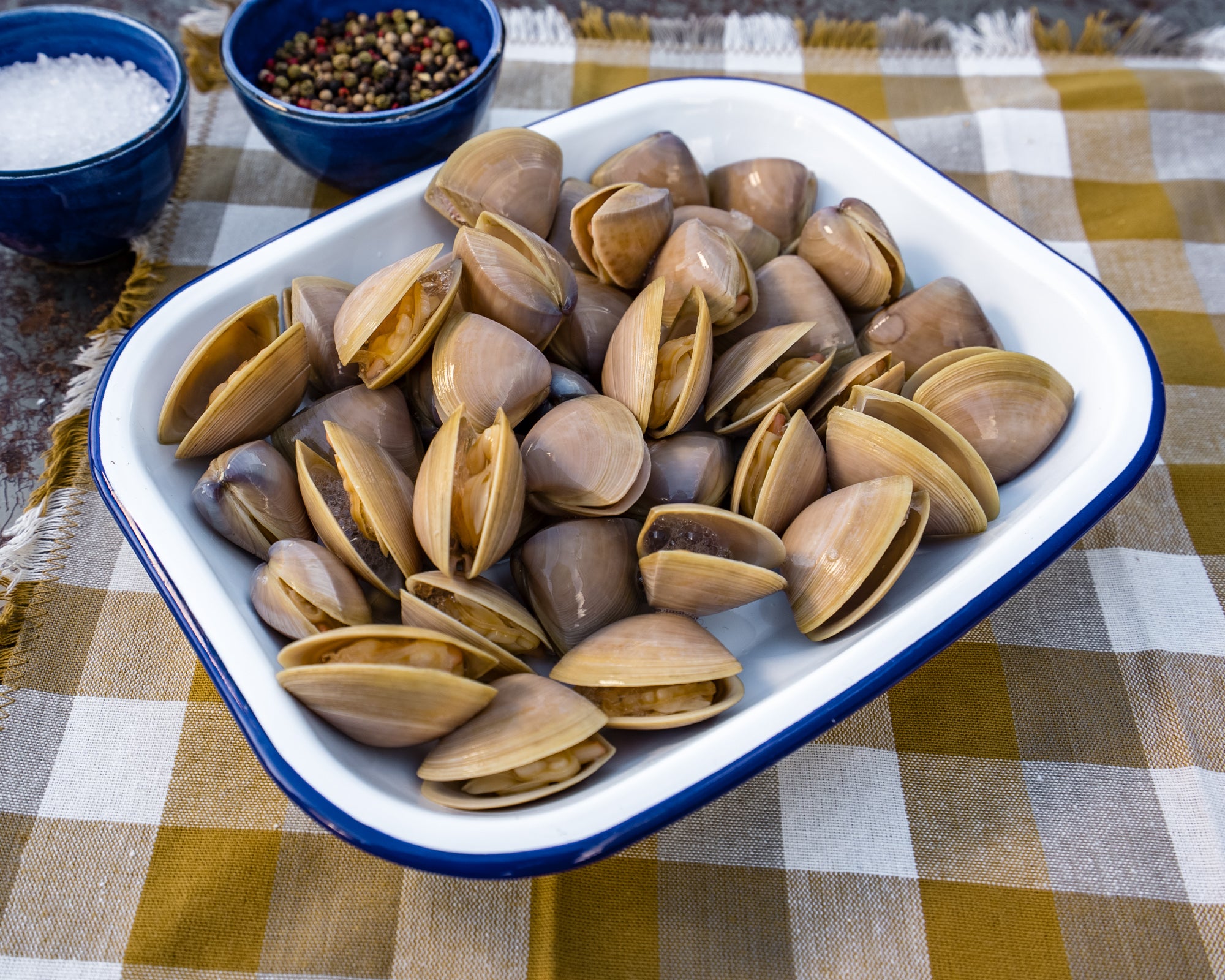 Cloudy Bay Clams – Wellington Seamarket