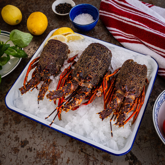 Crayfish Bodies (1kg) – Wellington Seamarket