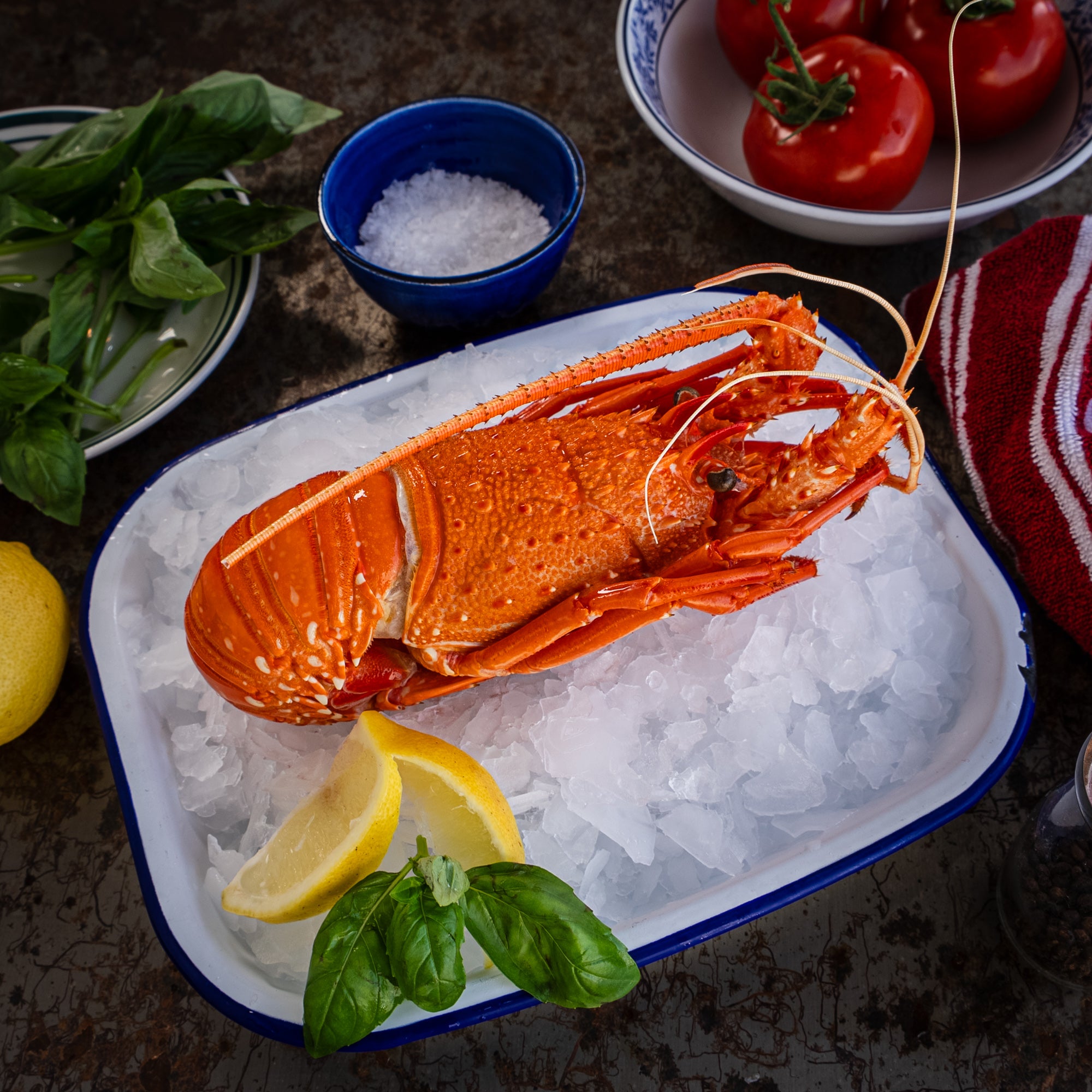 W.A Cooked Crayfish – Wellington Seamarket