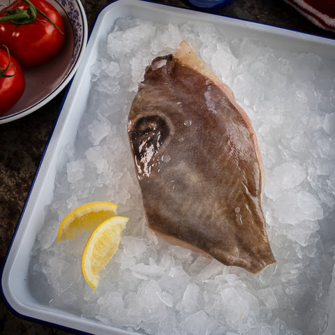 John Dory