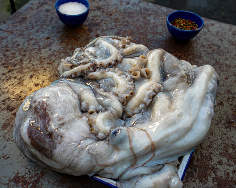 Whole Octopus (fresh)