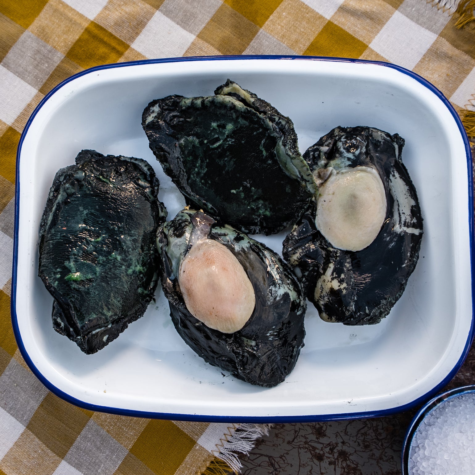 Pāua – Wellington Seamarket