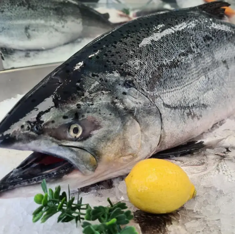 Salmon (3.5-4kg)