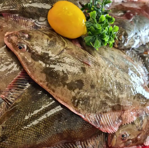 Sand Flounder (300-500g)