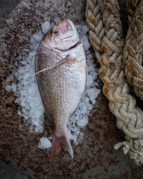 Snapper (1-1.5kg)