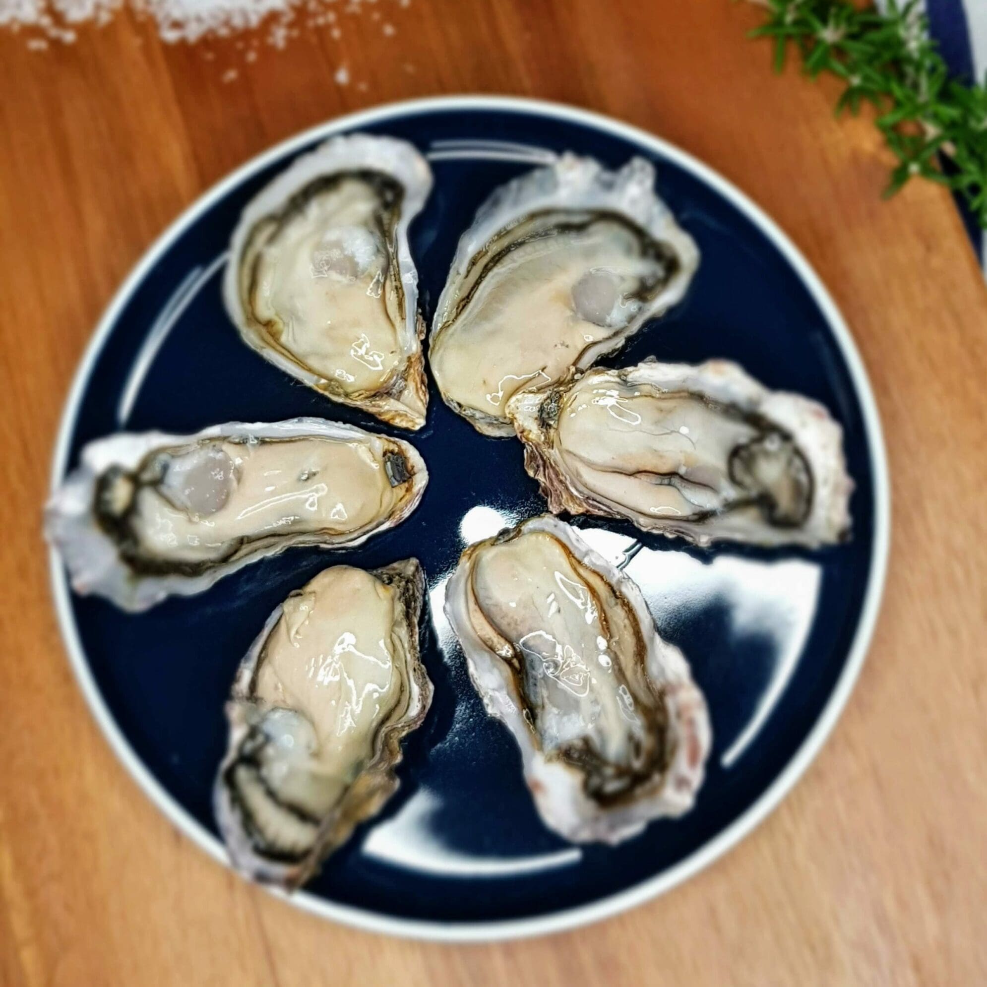 Pacific Half Shell Oysters Wellington Seamarket