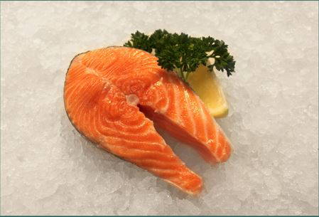 Salmon